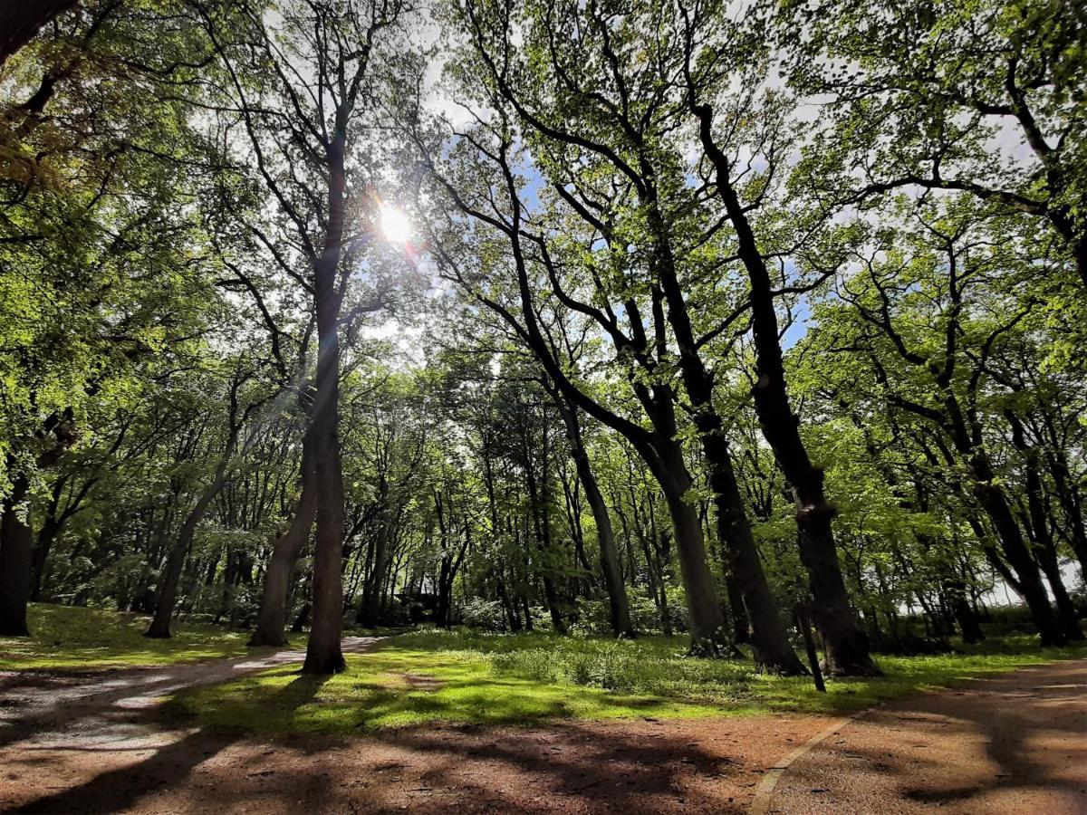 Lodge Domki Ajna Park W Uzdrowisku Kolobrzeg